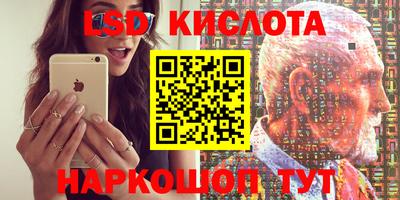 молекула духа Будённовск