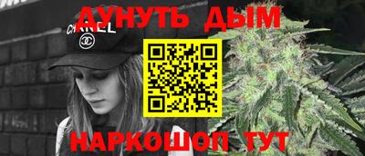 молекула духа Будённовск