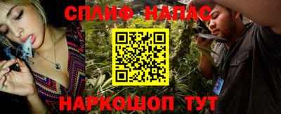 молекула духа Будённовск