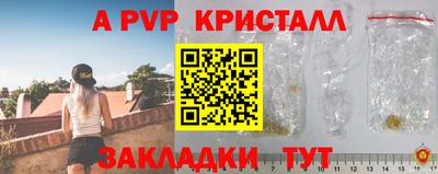 молекула духа Будённовск