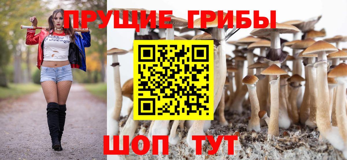Псилоцибиновые грибы Cubensis  Вход с VPN  Лесосибирск 
